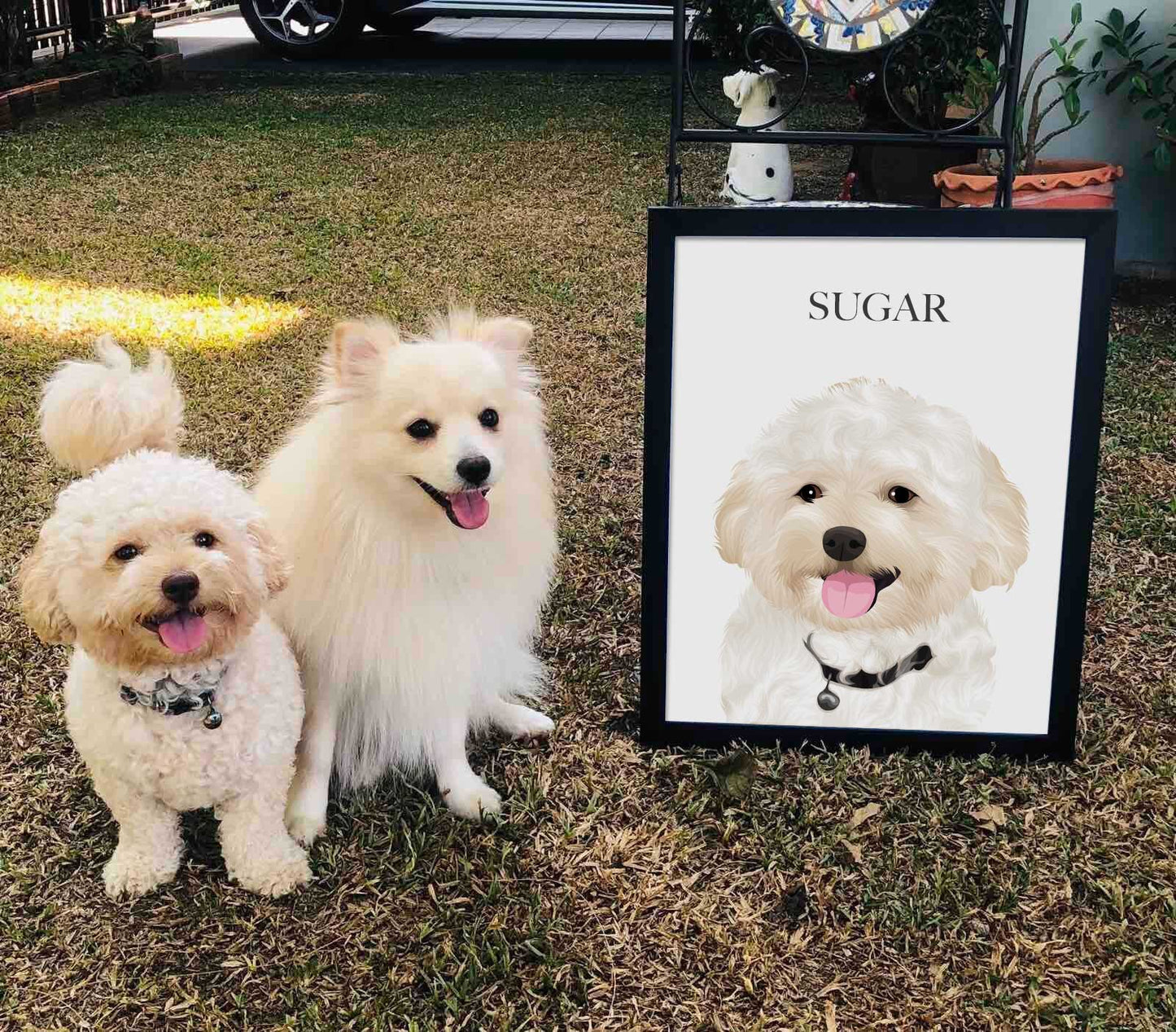 Custom Pet Portraits