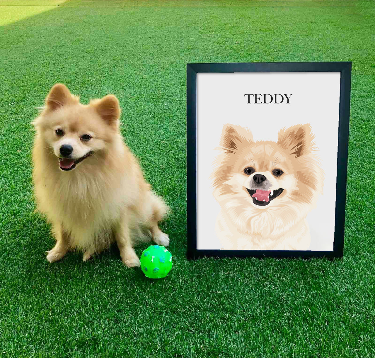 Custom Pet Portraits